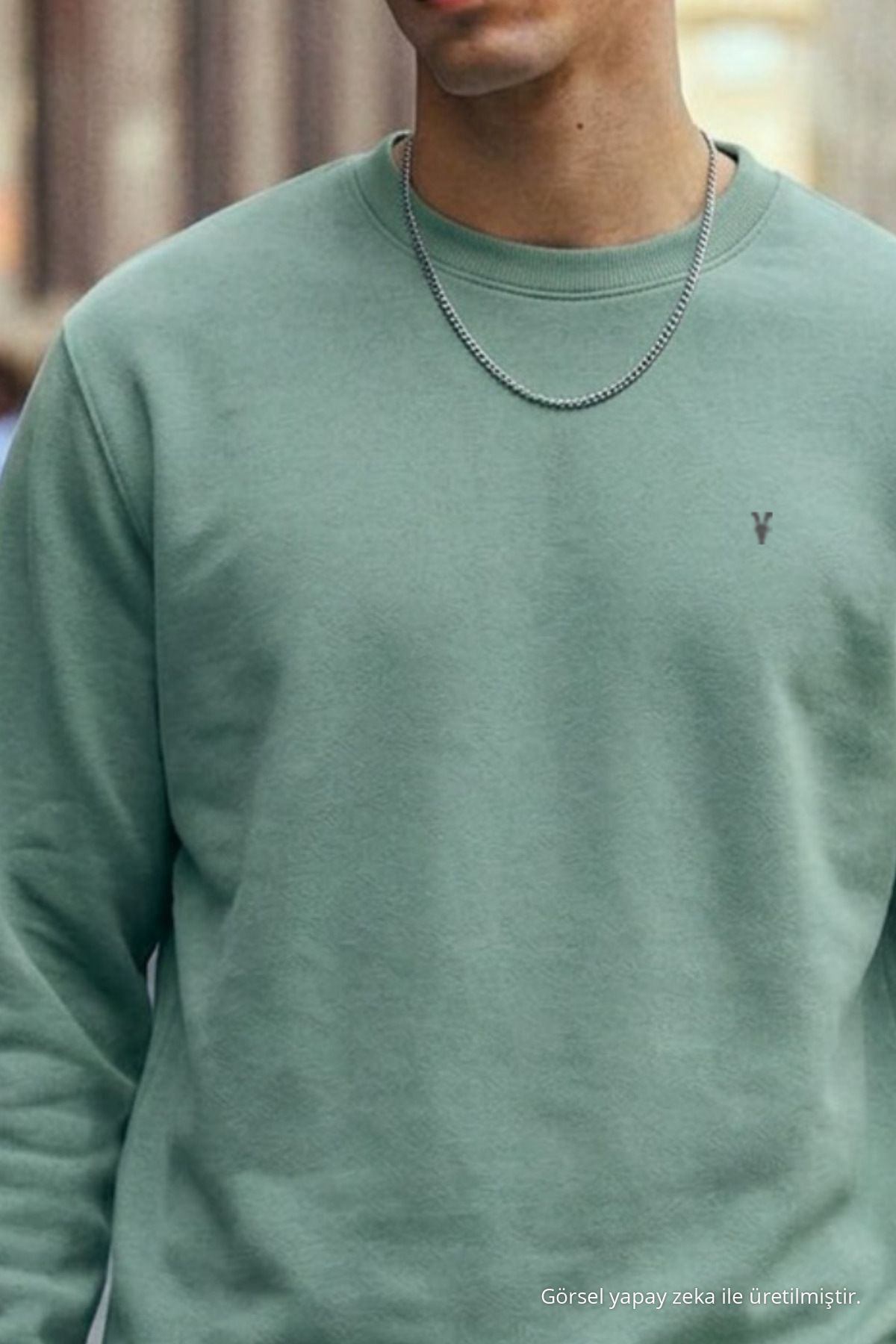 Erkek Orta Yumuşak Çağla Sweatshirt 5