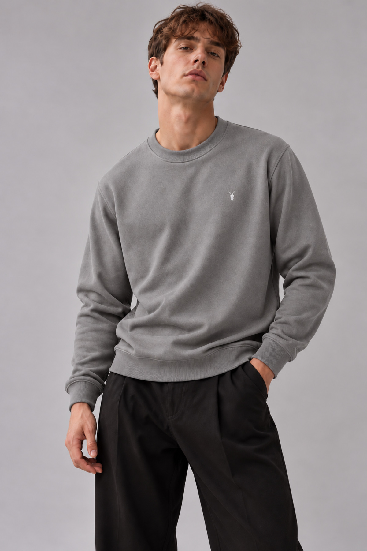 GRİ Renk Basic Bisiklet Yaka Erkek Sweatshirt 4