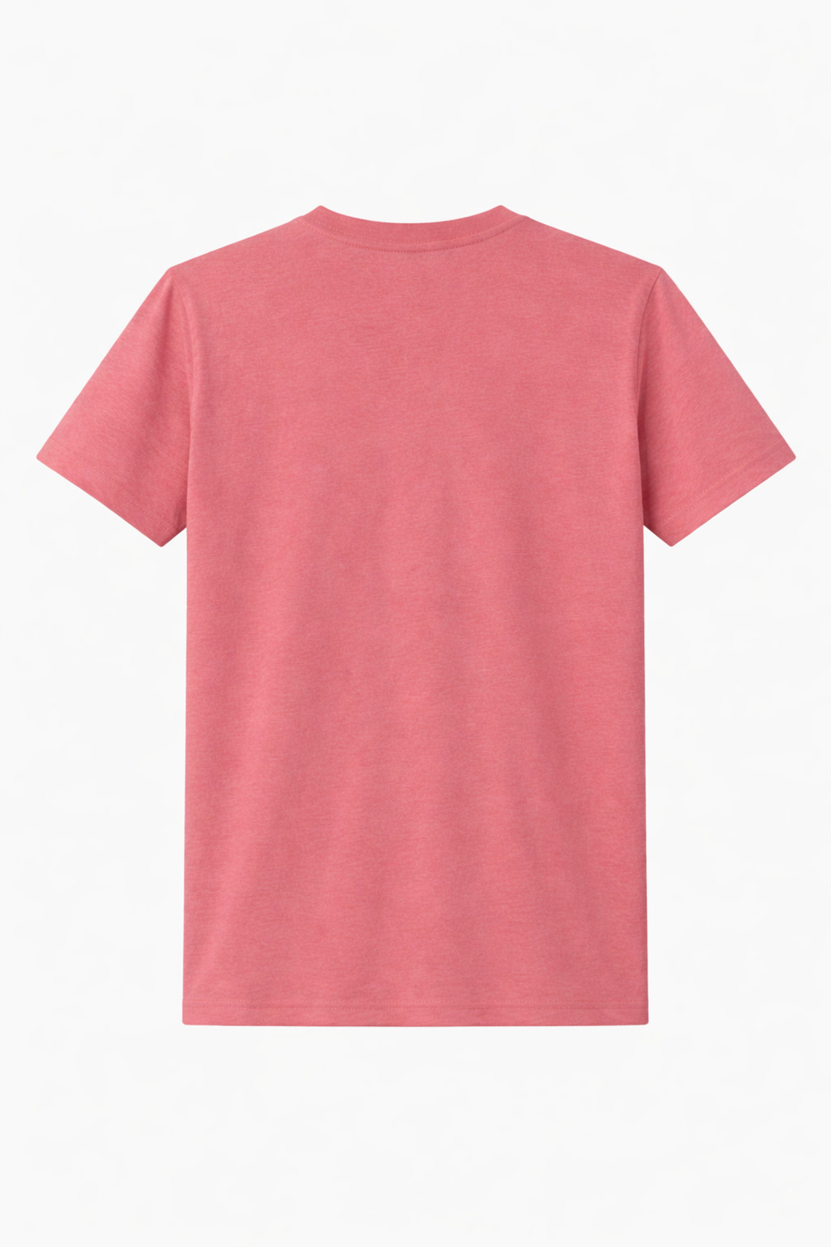 Erkek Pudra %100 Pamuk Slim Fit Bisiklet Yaka Kısa Kollu Tişört 6
