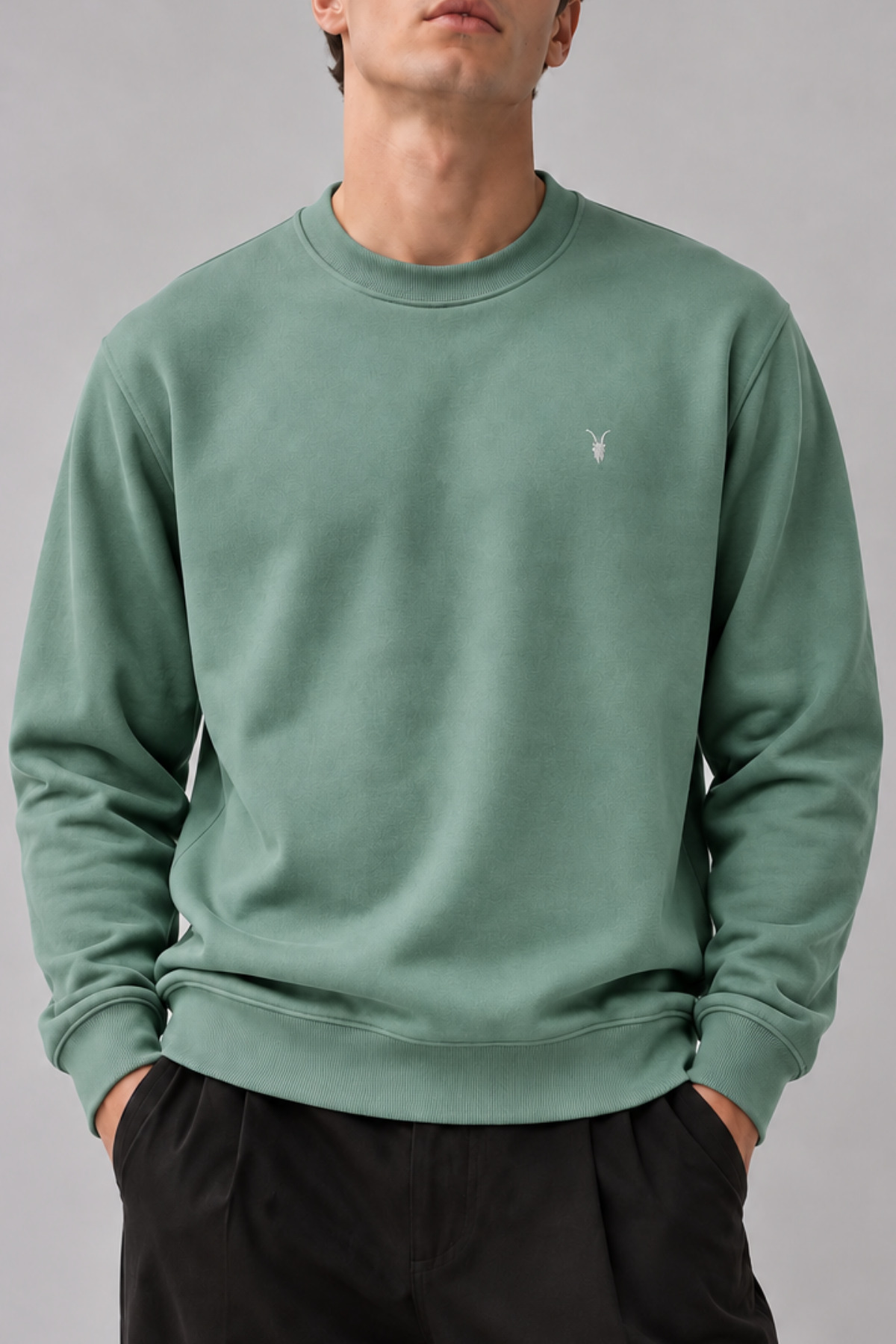 Çağla Renk Basic Bisiklet Yaka Erkek Sweatshirt 6