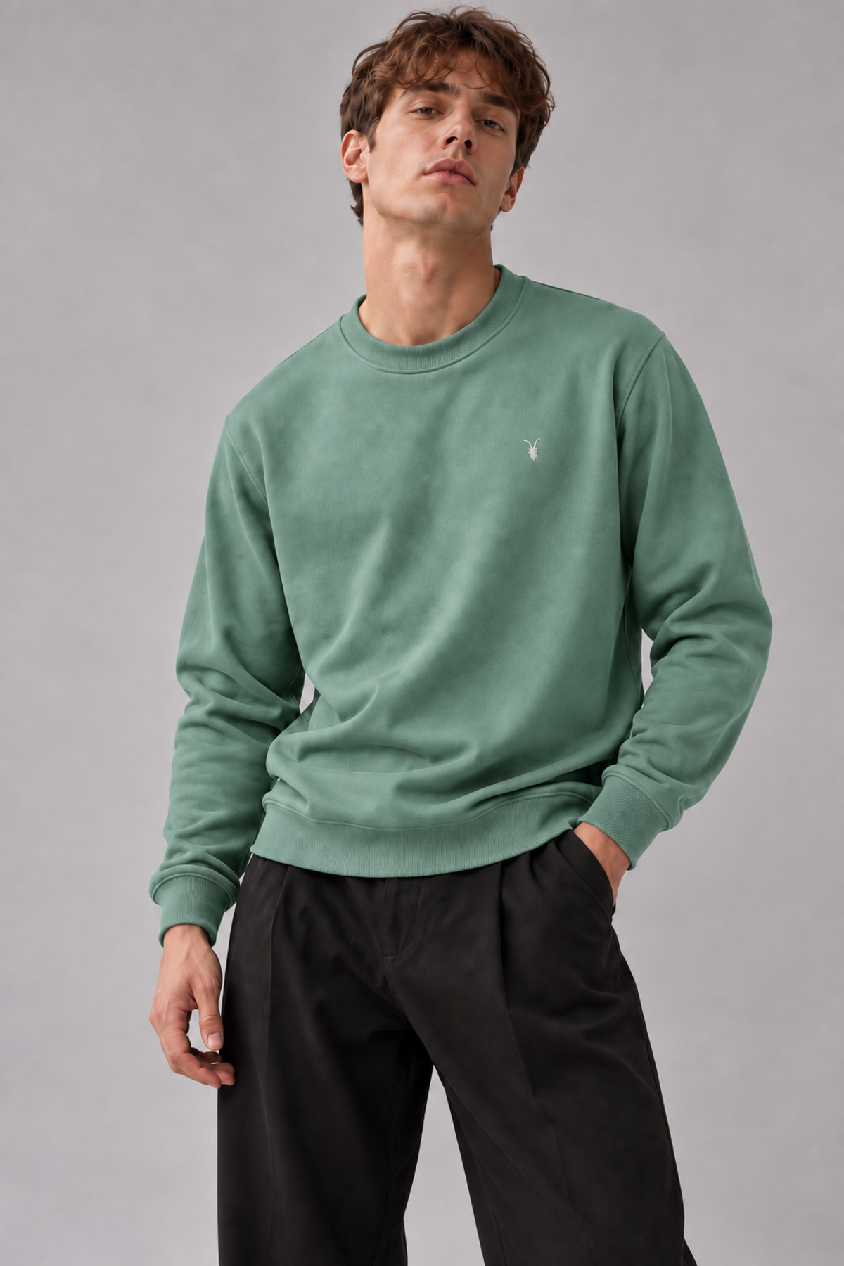 Çağla Renk Basic Bisiklet Yaka Erkek Sweatshirt 4
