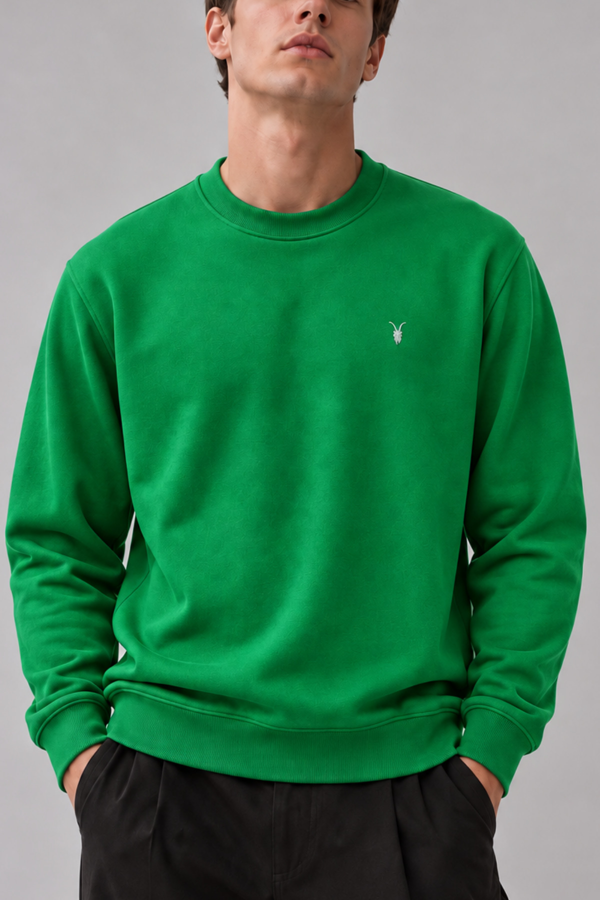 YEŞİL Renk Erkek Bisiklet Yaka Sweatshirt 6