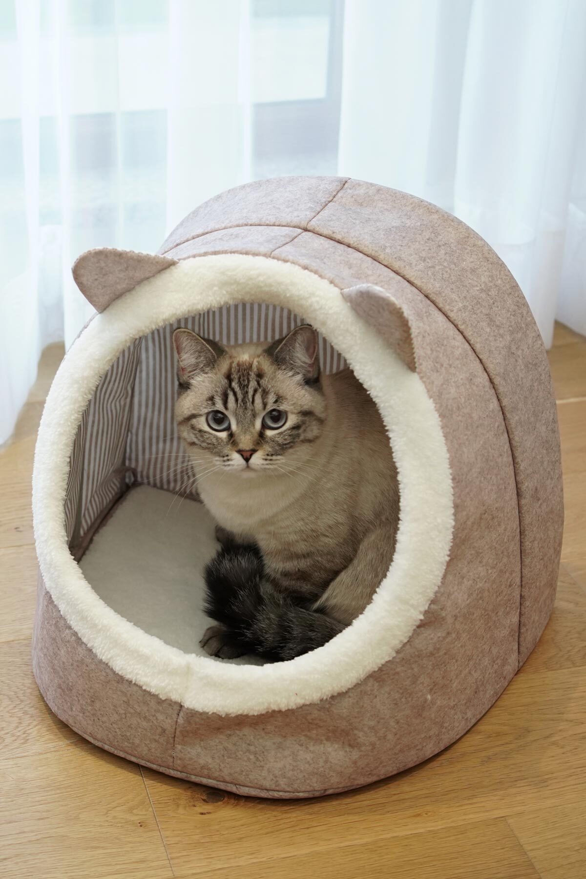 Şık Kapalı Keçe Kedi Ve Köpek Evi Yatağı 5